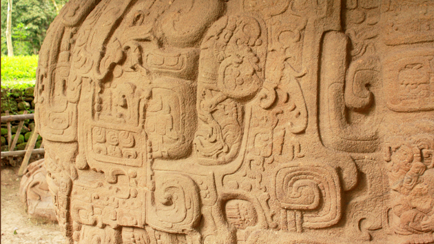 Detalle de la Gran Tortuga P, lado sur. La superficie entera de estas piedras masivas y fantásticas está esculpida con bellos <a href='#' class='glossary-tip' title="El elemento fundamental de la escritura de los antiguos mayas.">glifos</a> y el tallado más intricado y desconcertante en el arte maya.&nbsp;<span class='italic'>Crédito de imagen:&nbsp;Julián Cruz Cortés</span>