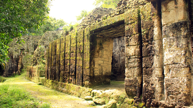 Mossy walls on a palace structure. The visible integrity of this building is a testament to the stability of the stone and mortar stuctures, many of which still retain wooden beams over a thousand years old.&nbsp;<span class='italic'>Photo Credit:&nbsp;Julián Cruz Cortés</span>