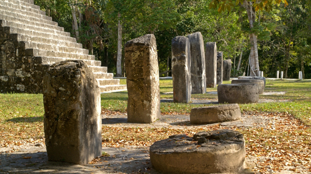 The combination of <a href='#' class='glossary-tip' title="A monument shaped like a column, usually monolithic, inscribed with a commemorative, funerary, or ceremonial function.">stelas</a> and altars are typical of many of the <a href='#' class='glossary-tip' title="Geographical area spanning the Yucatan peninsula and eastern Guatemala that has been occupied by the Maya for thousands of years.">lowland</a> Maya ancient sites. In these structures, rulers dutifully recorded ceremonies at 20-year intervals.&nbsp;<span class='italic'>Photo Credit:&nbsp;Istock: Ralf Broskvar</span>