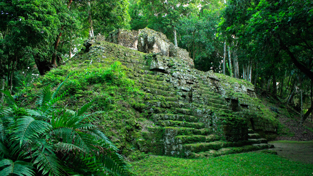 Follaje verde y musgo cubren los antiguos edificios. Abandonados por casi 1.200 años, muchas de las estructuras están en excelentes condiciones, dando a esta ciudad la apariencia de que uno se está adentrando a un antiguo pasado.&nbsp;<span class='italic'>Crédito de imagen:&nbsp;Julián Cruz Cortés</span>