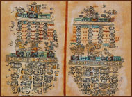 This image shows Maya animal constellations found in the Paris Codex.