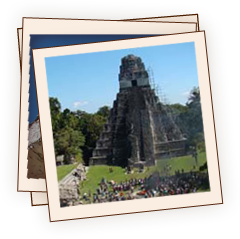 Snapshot of Maya life